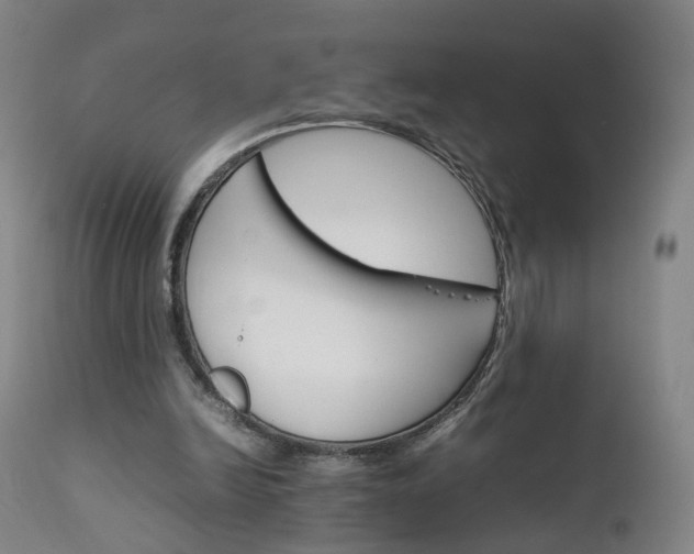 X0000111230246200907091342