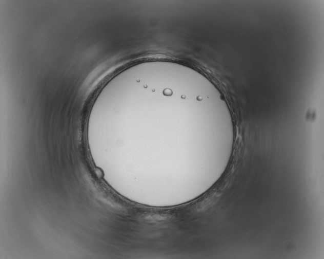 X0000111230247200907091342