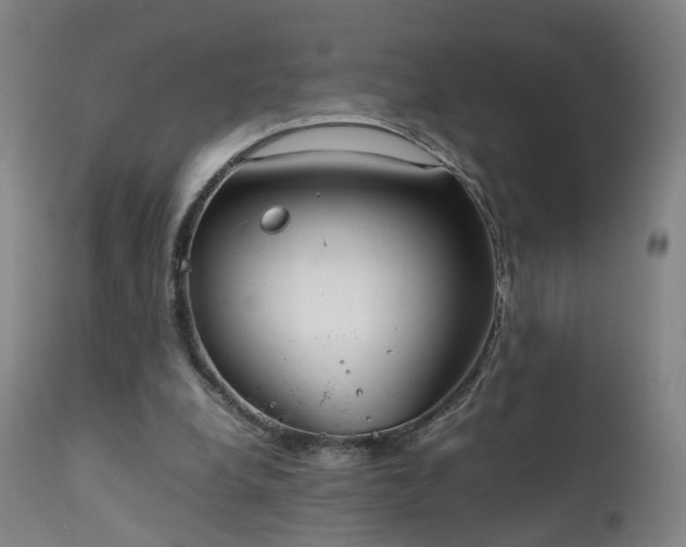X0000111230248200907091342