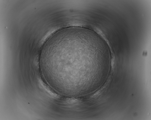 X0000111230249200907091342