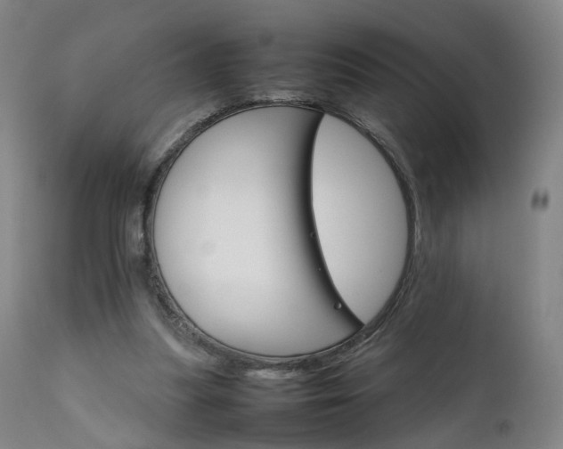 X0000111230251200907091342