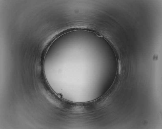 X0000111230252200907091342