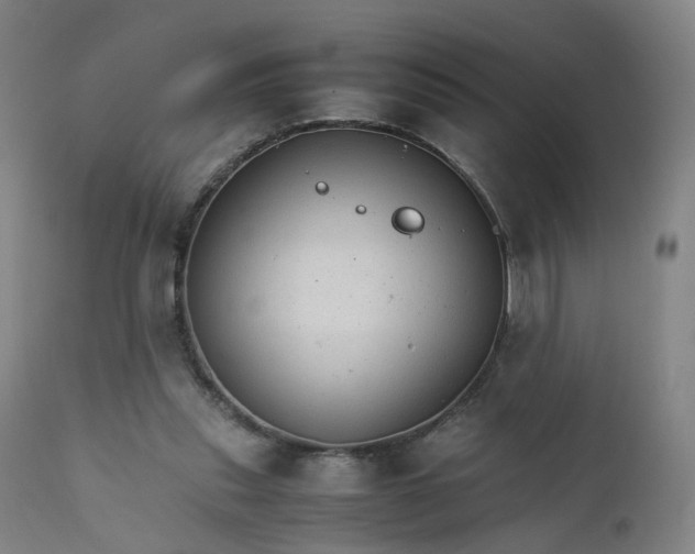 X0000111230253200907091342