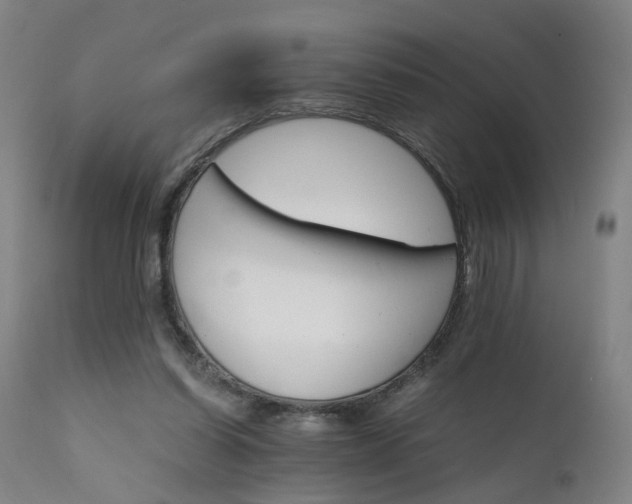 X0000111230254200907091342