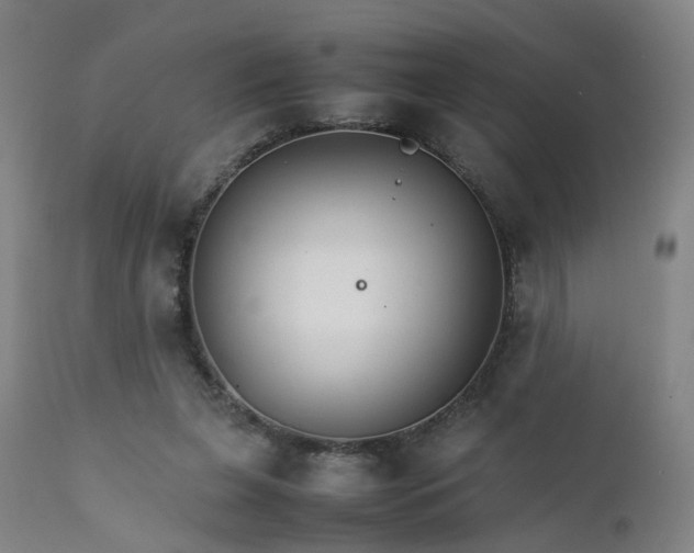 X0000111230255200907091342