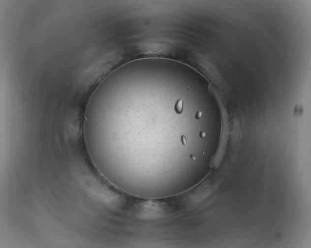 X0000111230261200907091342