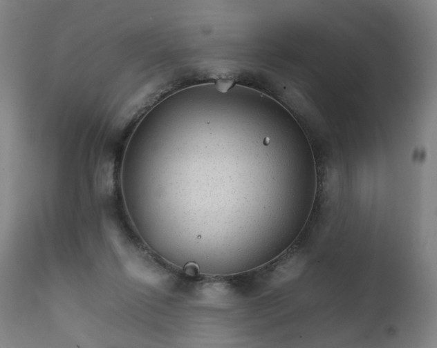 X0000111230262200907091342