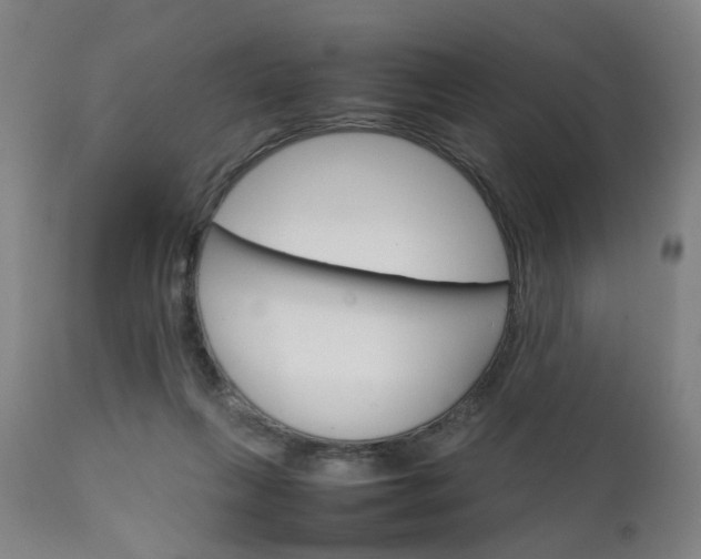 X0000111230263200907091342