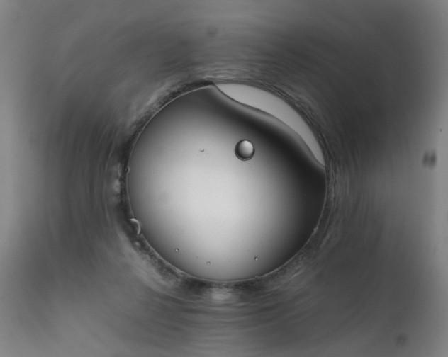X0000111230264200907091342