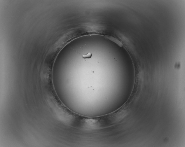 X0000111230265200907091342