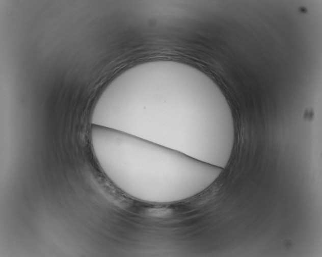 X0000111230266200907091342
