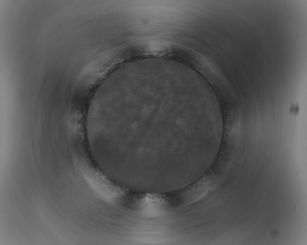 X0000111230270200907091342
