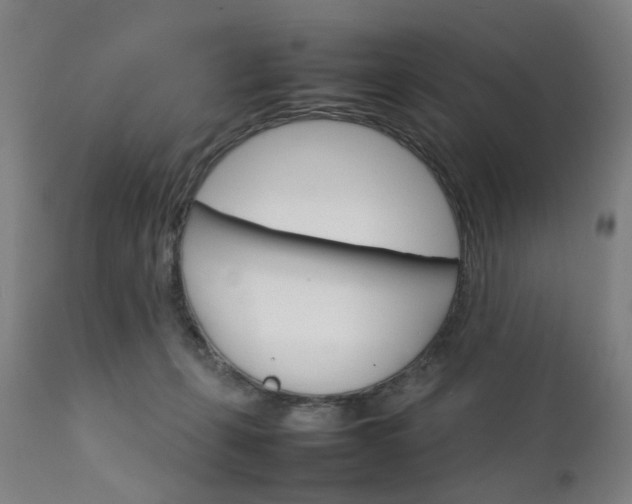 X0000111230271200907091342