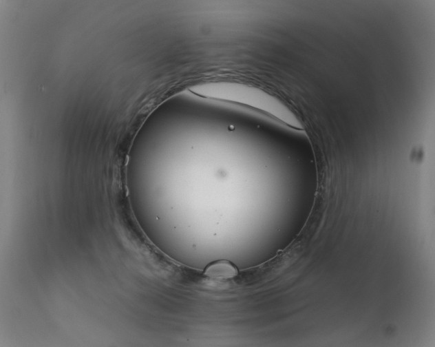 X0000111230272200907091342
