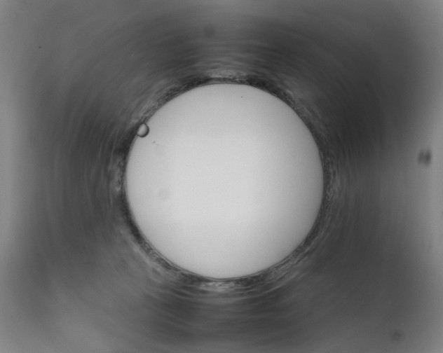X0000111230273200907091342