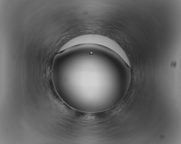 X0000111230276200907091342