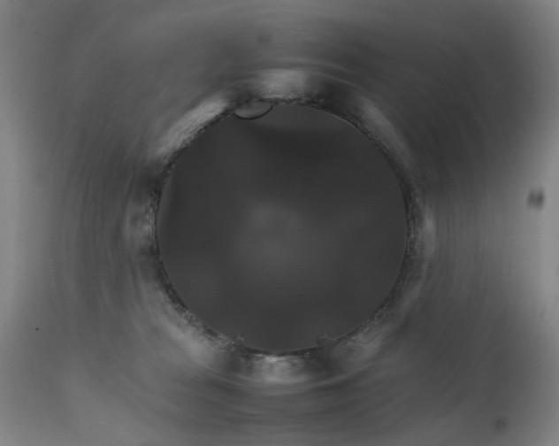 X0000111230277200907091342