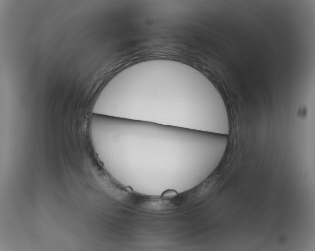 X0000111230278200907091342