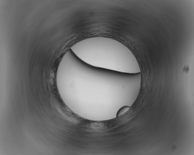 X0000111230279200907091343