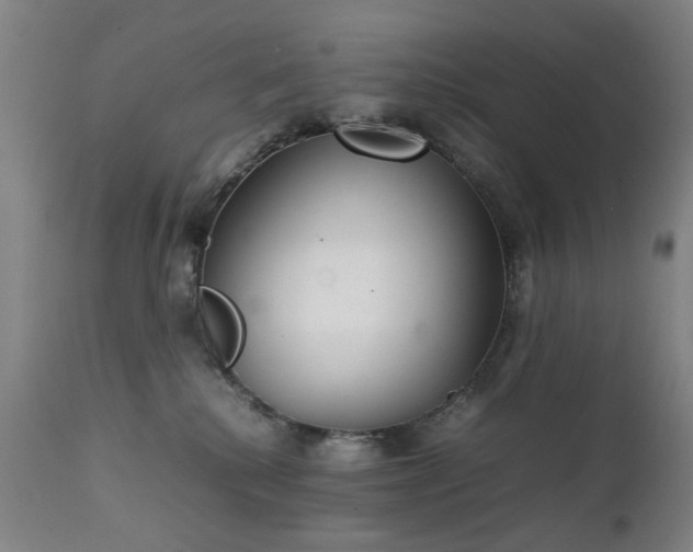 X0000111230280200907091343