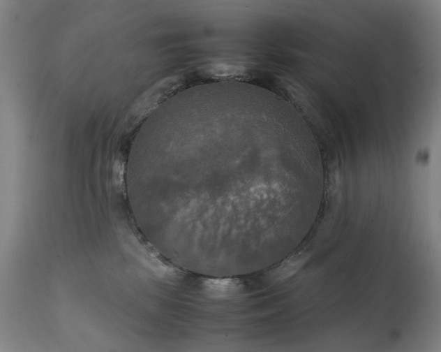 X0000111230281200907091343