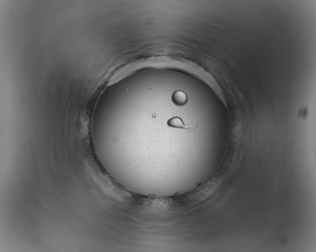 X0000111230282200907091343