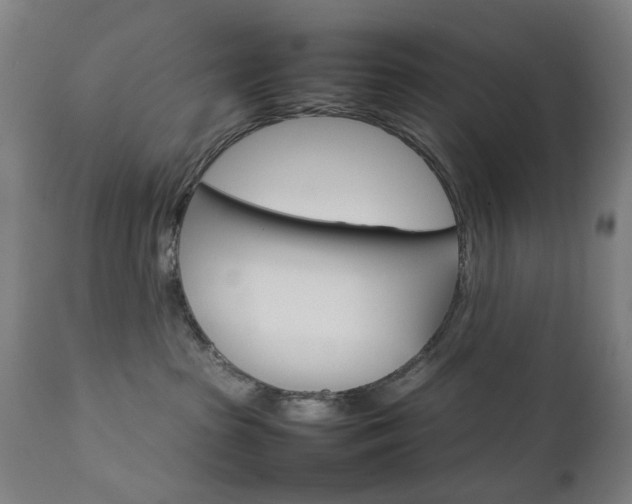 X0000111230285200907091343