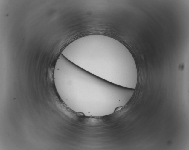 X0000111230286200907091343