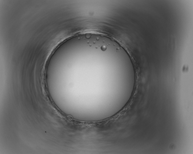 X0000111230289200907091342