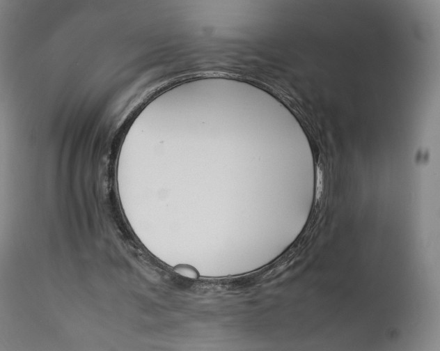 X0000111230291200907091342