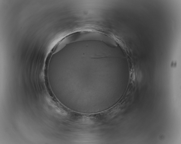 X0000111230292200907091342
