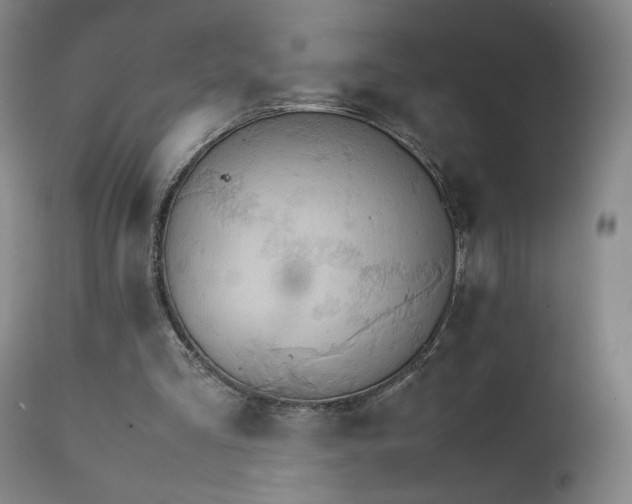 X0000111230293200907091342