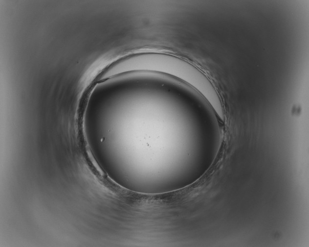 X0000111230296200907091342