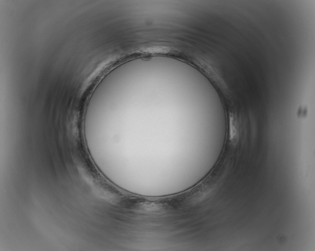 X0000111230300200907091342