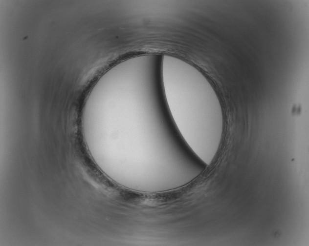 X0000111230303200907091342