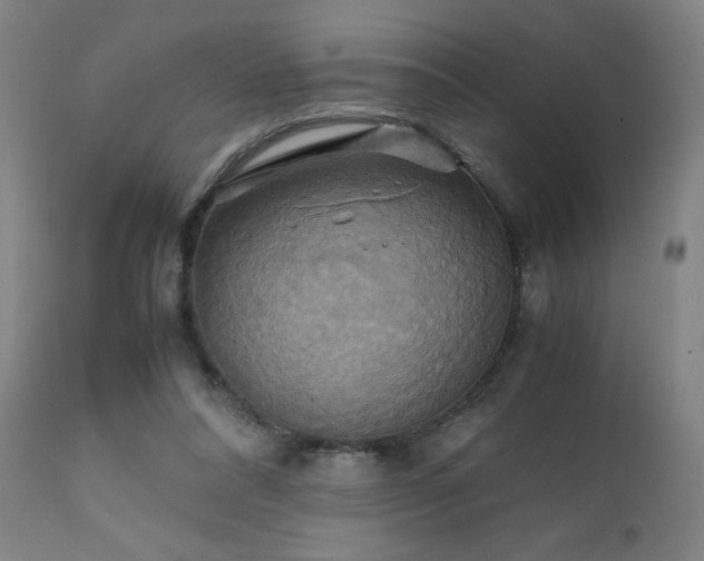 X0000111230304200907091342