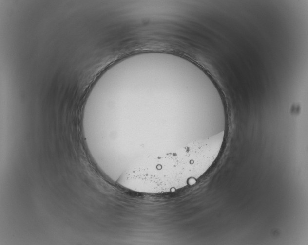 X0000111230305200907091342