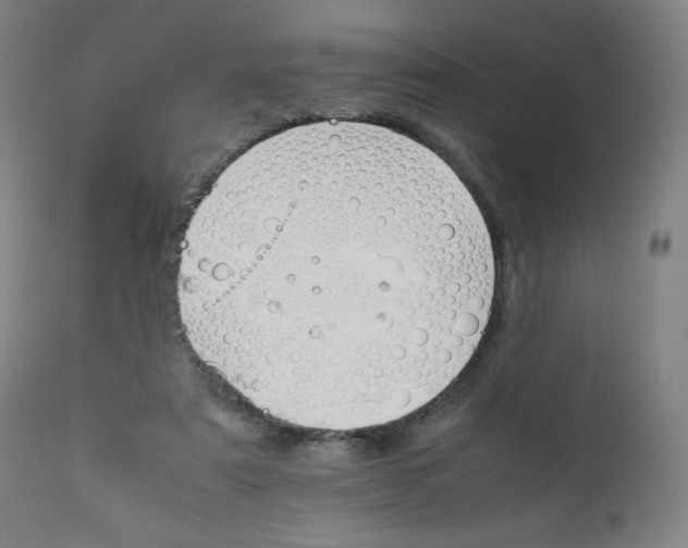 X0000111230307200907091342