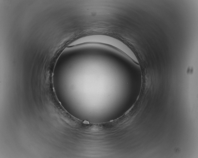 X0000111230308200907091342