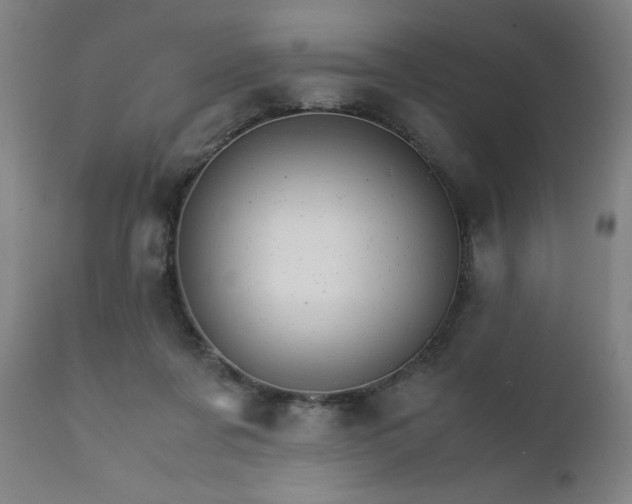 X0000111230311200907091341