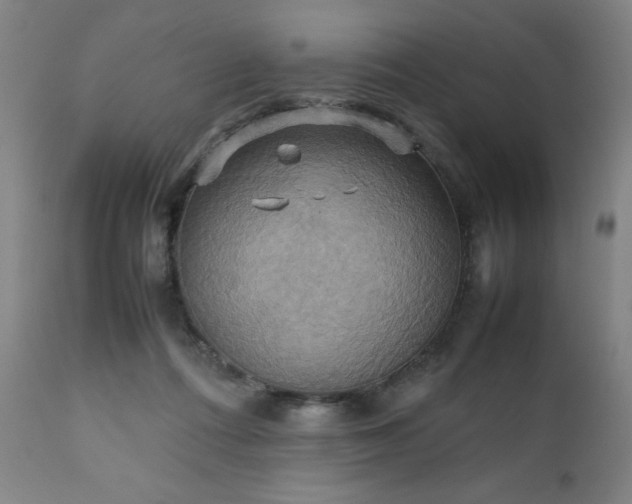 X0000111230312200907091341