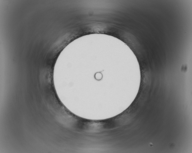 X0000111230313200907091341