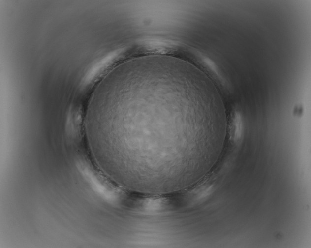 X0000111230314200907091341