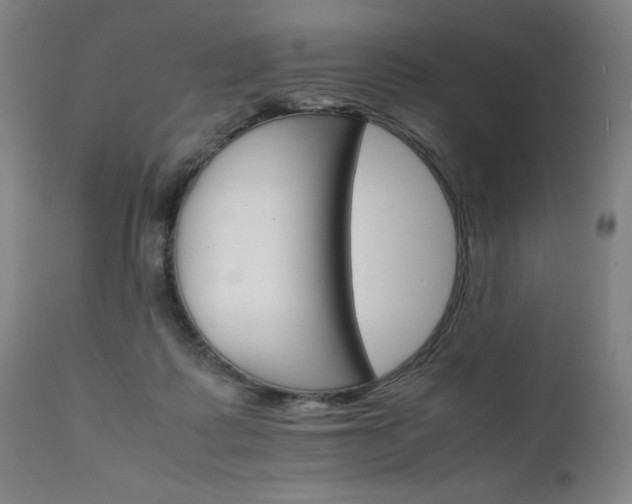 X0000111230315200907091341