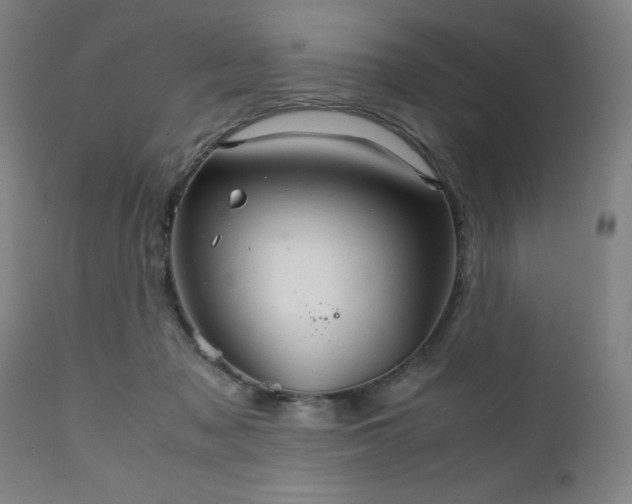 X0000111230317200907091341
