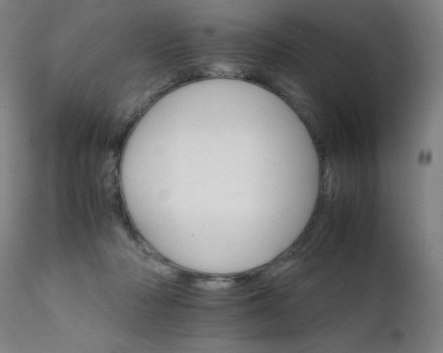 X0000111230318200907091341