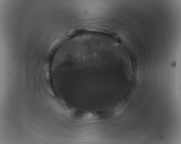 X0000111230319200907091341