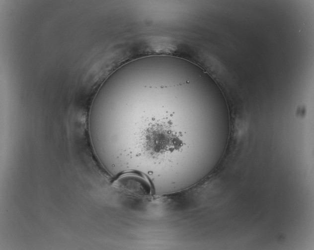 X0000111230321200907091341