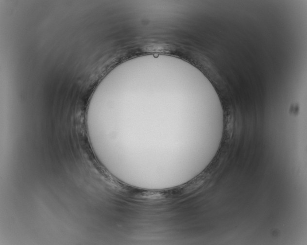 X0000111230322200907091341