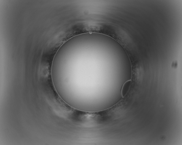X0000111230323200907091341